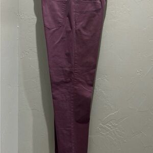 Men’s Dark purple cotton 5 pocket pant.